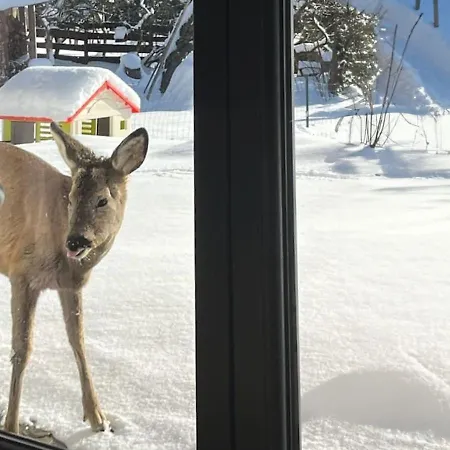 Chalet Widokowka Zawoja