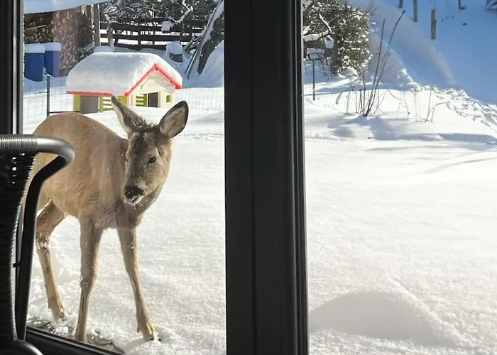 Domek alpejski Widokówka Zawoja
